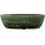 Vaso bonsai rotondo verde - 210 x 210 x 60 mm