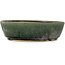 Round green bonsai pot - 210 x 210 x 60 mm