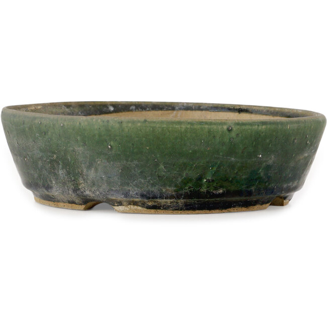 Maceta redonda verde para bonsái - 210 x 210 x 60 mm