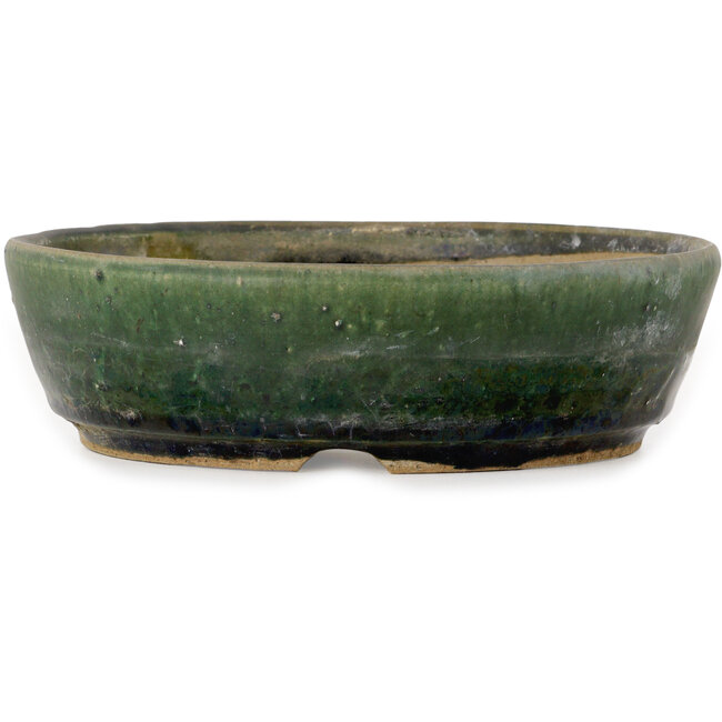 Vaso bonsai rotondo verde - 210 x 210 x 60 mm