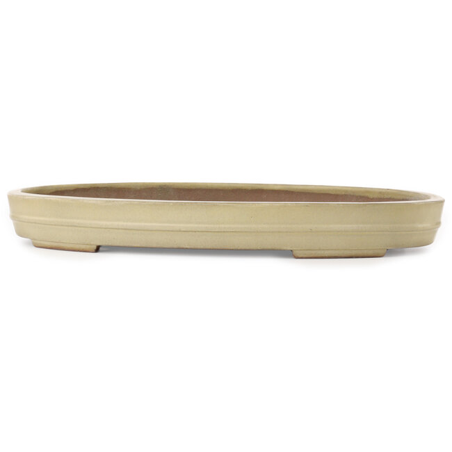 Pot à bonsaï ovale beige de Kakuzan - 472 x 342 x 55 mm