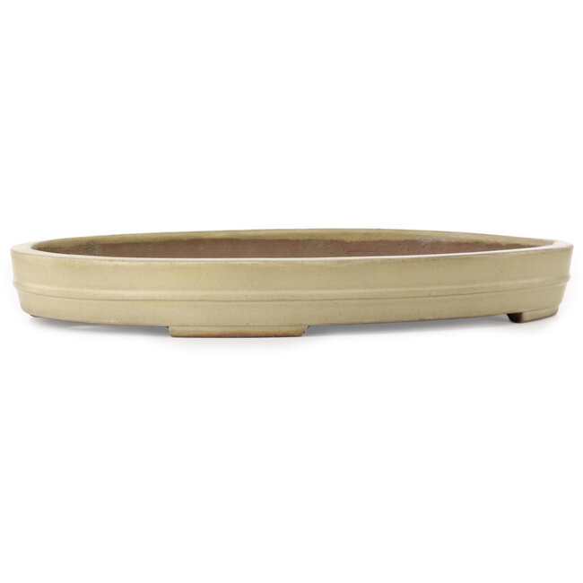 Vaso bonsai ovale beige di Kakuzan - 472 x 342 x 55 mm