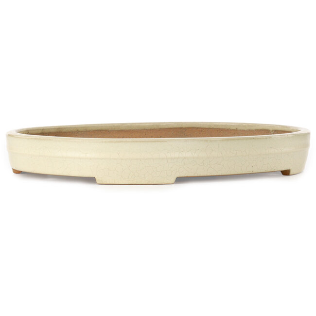 Oval beige bonsai pot by Yamafusa - 472 x 342 x 55 mm