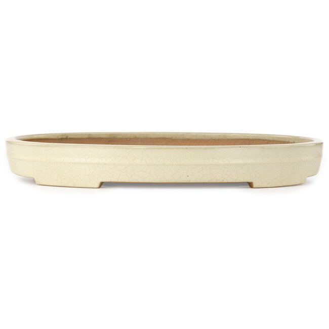 Oval beige bonsai pot by Yamafusa - 472 x 342 x 55 mm