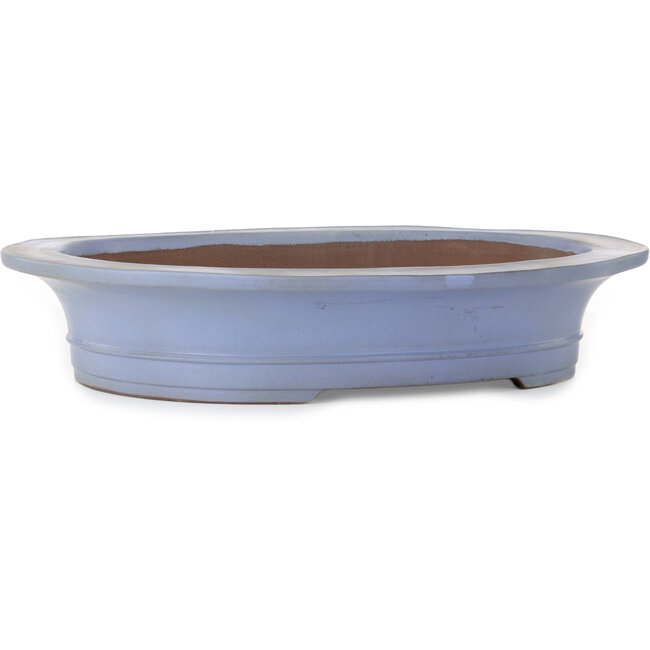 Maceta ovalada azul para bonsái de Kakuzan - 560 x 472 x 100 mm