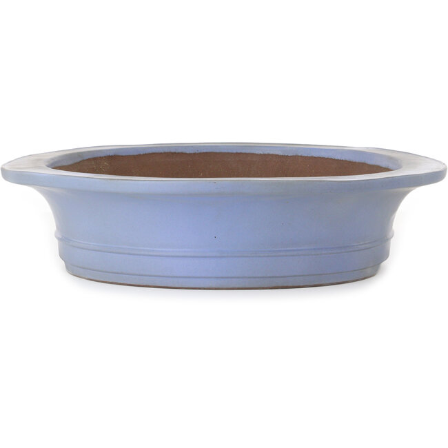 Ovaler blauer Bonsai-Topf von Kakuzan – 560 x 472 x 100 mm