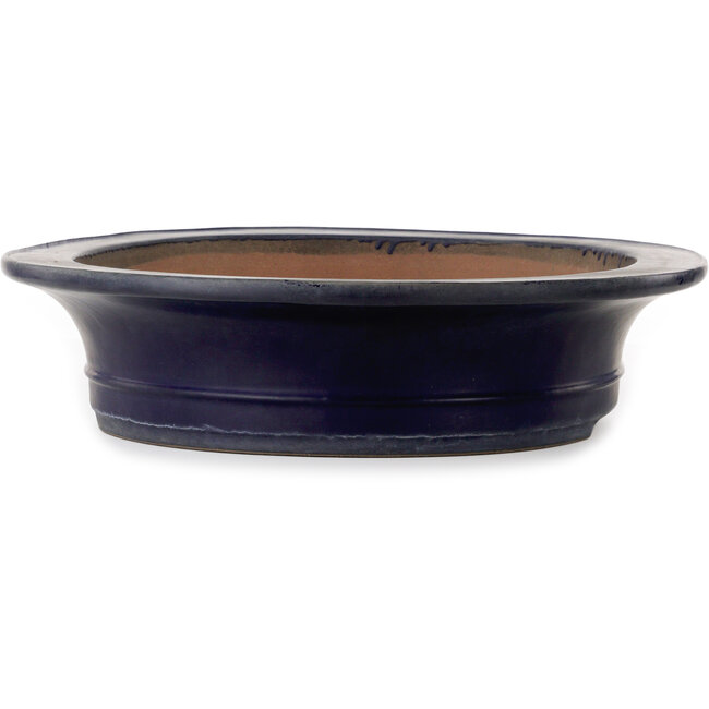 Maceta ovalada azul para bonsái de Kakuzan - 555 x 465 x 110 mm