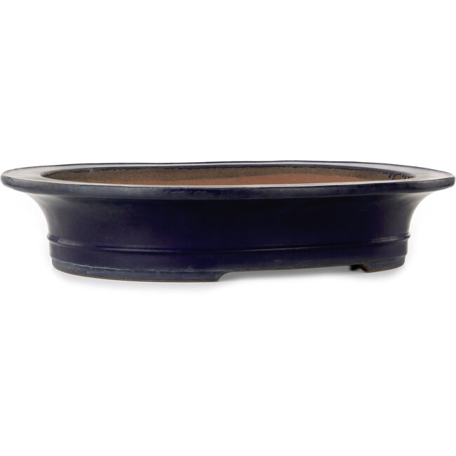 Vaso bonsai ovale blu di Kakuzan - 555 x 465 x 110 mm