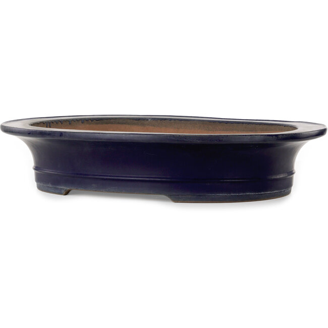 Pot ovale bleu pour bonsaï de Kakuzan - 555 x 465 x 110 mm
