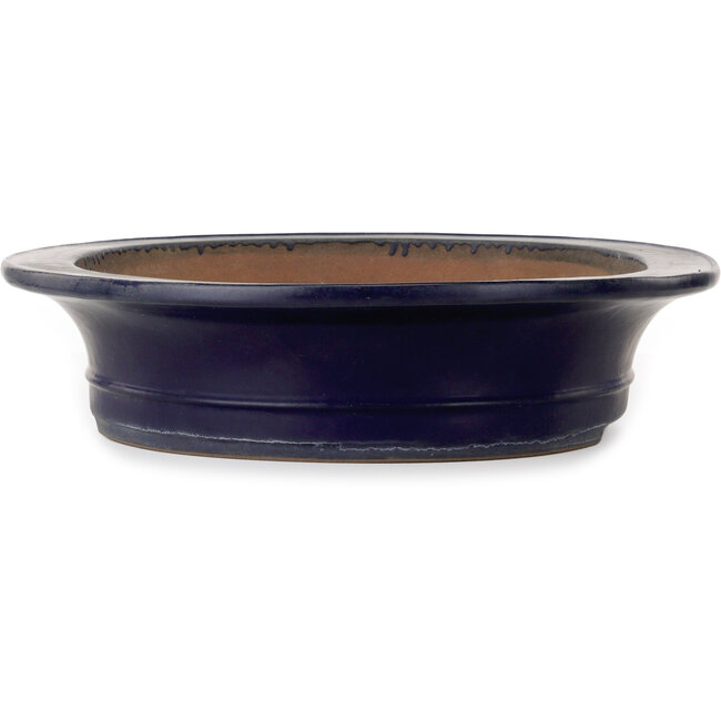 Maceta ovalada azul para bonsái de Kakuzan - 555 x 465 x 110 mm