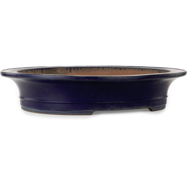 Pot ovale bleu pour bonsaï de Kakuzan - 555 x 465 x 110 mm