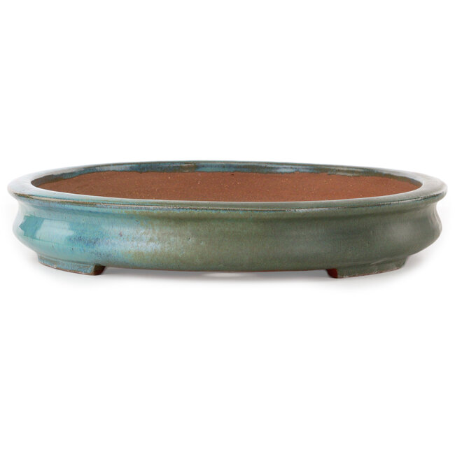 Maceta ovalada verde para bonsái de Kakuzan - 550 x 395 x 65 mm