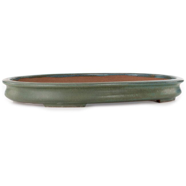 Oval green bonsai pot by Kakuzan - 550 x 395 x 65 mm