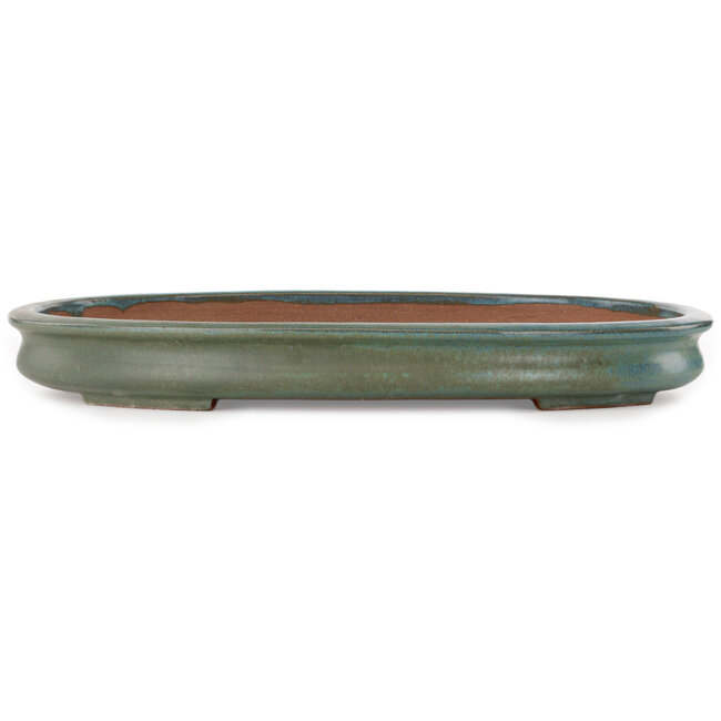Oval green bonsai pot by Kakuzan - 550 x 395 x 65 mm