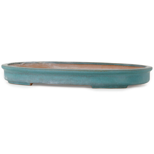 Oval green bonsai pot by Seizan (Reihou, Kataoka Katsushi, master Seizan kiln) - 580 x 410 x 65 mm