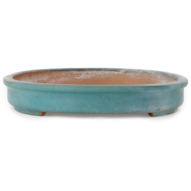 Oval green bonsai pot by Seizan (Reihou, Kataoka Katsushi, master Seizan kiln) - 580 x 410 x 65 mm