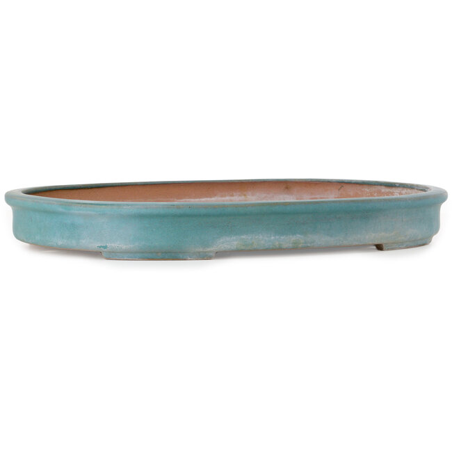 Ovaler grüner Bonsaitopf von Seizan (Reihou, Kataoka Katsushi, Meister Seizan-Ofen) – 580 x 410 x 65 mm