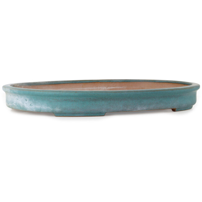 Oval green bonsai pot by Seizan (Reihou, Kataoka Katsushi, master Seizan kiln) - 580 x 410 x 65 mm