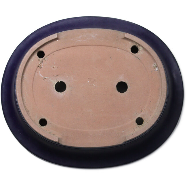 Pot ovale bleu pour bonsaï de Kakuzan - 555 x 465 x 110 mm