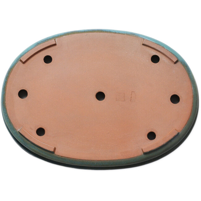 Maceta ovalada verde para bonsái de Kakuzan - 550 x 395 x 65 mm