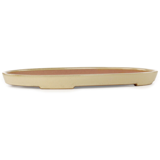 Ovale beige bonsaipot van Seizan (Reihou, Kataoka Katsushi, meester Seizan oven) - 552 x 350 x 40 mm