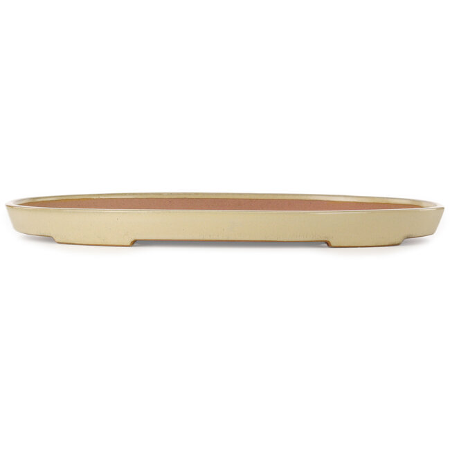Ovale beige bonsaipot van Seizan (Reihou, Kataoka Katsushi, meester Seizan oven) - 552 x 350 x 40 mm