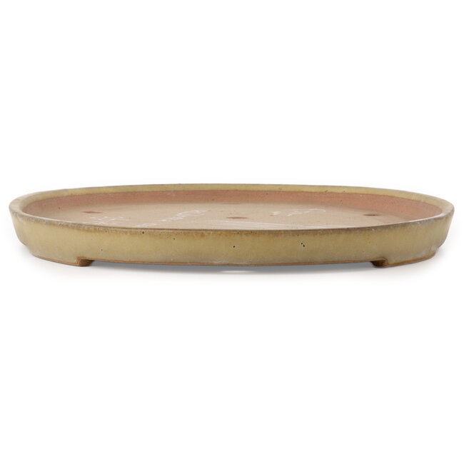 Oval beige bonsai pot by Seizan (Reihou, Kataoka Katsushi, master Seizan kiln) - 552 x 350 x 40 mm