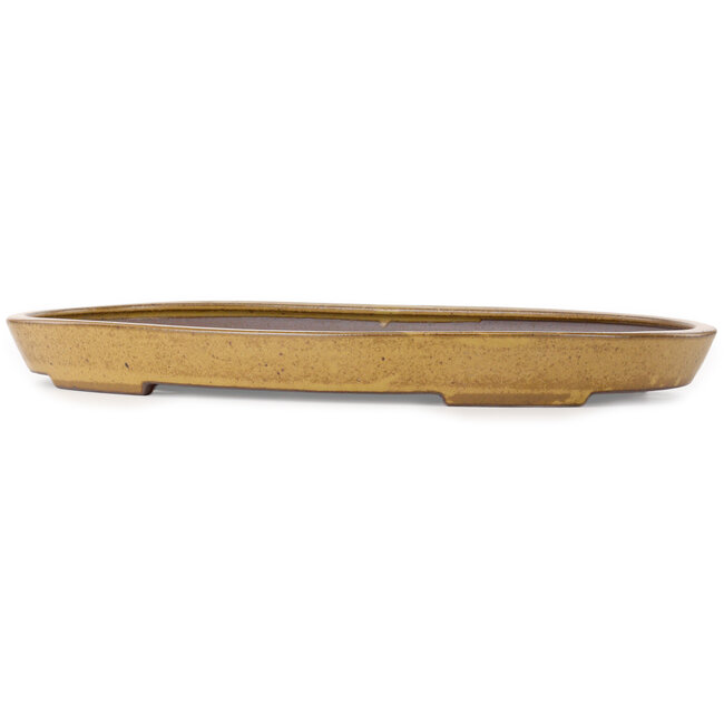 Oval light brown bonsai pot by Seizan (Reihou, Kataoka Katsushi, master Seizan kiln) - 545 x 350 x 52 mm