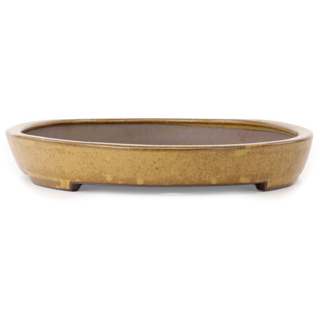 Oval light brown bonsai pot by Seizan (Reihou, Kataoka Katsushi, master Seizan kiln) - 545 x 350 x 52 mm