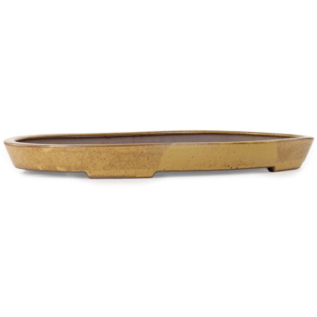 Oval light brown bonsai pot by Seizan (Reihou, Kataoka Katsushi, master Seizan kiln) - 545 x 350 x 52 mm