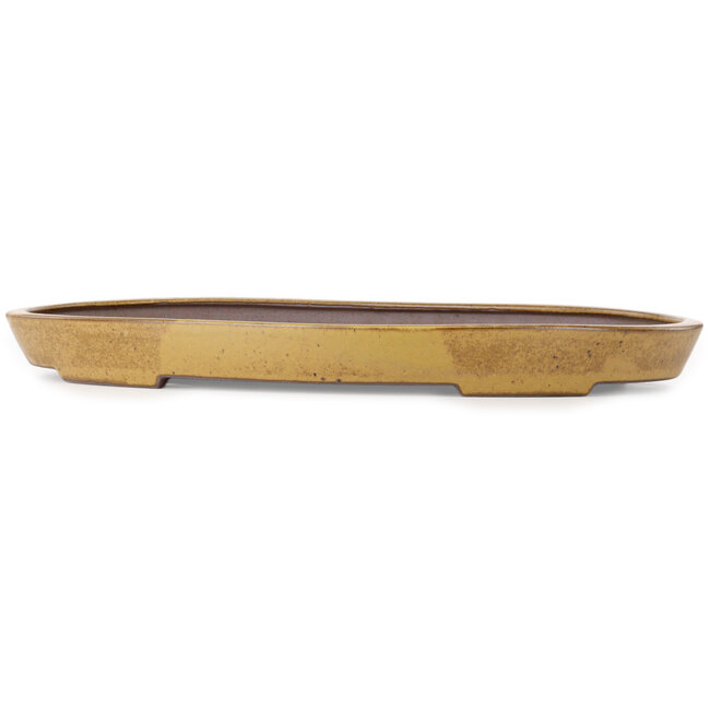 Oval light brown bonsai pot by Seizan (Reihou, Kataoka Katsushi, master Seizan kiln) - 545 x 350 x 52 mm