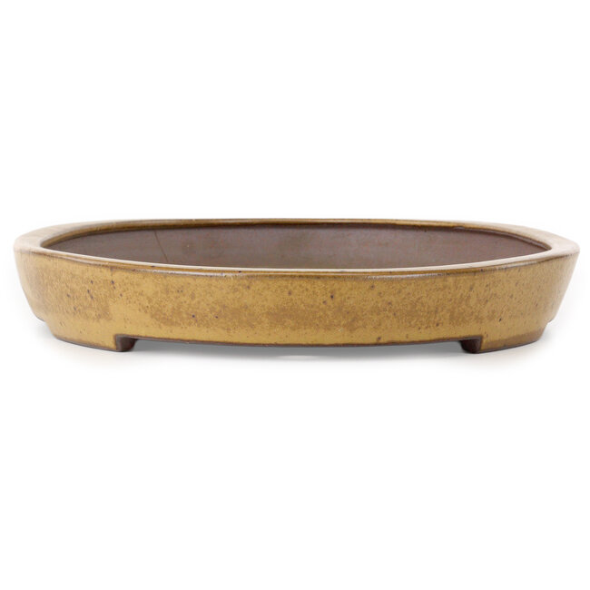 Oval light brown bonsai pot by Seizan (Reihou, Kataoka Katsushi, master Seizan kiln) - 545 x 350 x 52 mm