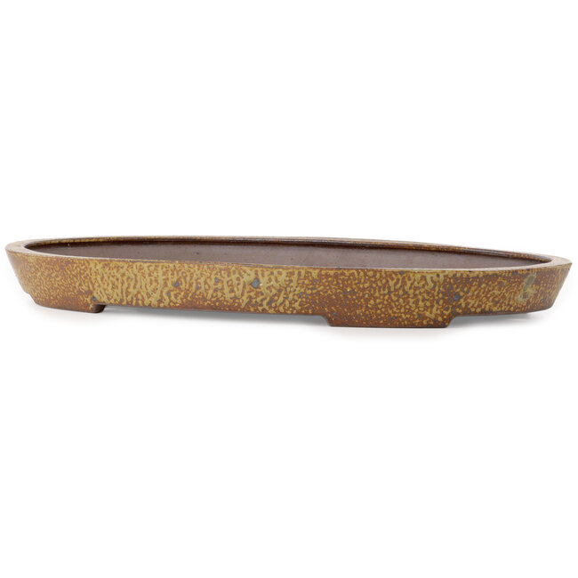 Oval light brown bonsai pot by Seizan (Reihou, Kataoka Katsushi, master Seizan kiln) - 600 x 385 x 55 mm