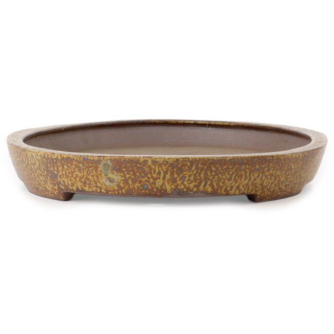 Oval light brown bonsai pot by Seizan (Reihou, Kataoka Katsushi, master Seizan kiln) - 600 x 385 x 55 mm