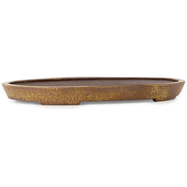 Oval light brown bonsai pot by Seizan (Reihou, Kataoka Katsushi, master Seizan kiln) - 600 x 385 x 55 mm