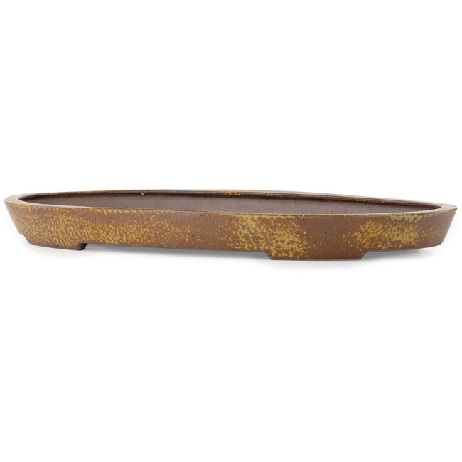 Oval light brown bonsai pot by Seizan (Reihou, Kataoka Katsushi, master Seizan kiln) - 600 x 385 x 55 mm