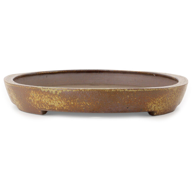Oval light brown bonsai pot by Seizan (Reihou, Kataoka Katsushi, master Seizan kiln) - 600 x 385 x 55 mm