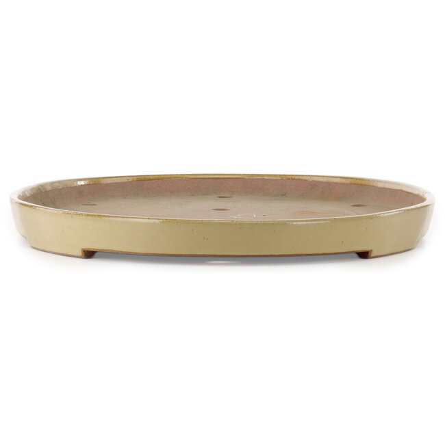 Oval beige bonsai pot by Seizan (Reihou, Kataoka Katsushi, master Seizan kiln) - 700 x 440 x 45 mm