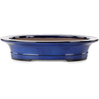  Kakuzan Maceta ovalada azul para bonsái de 704 mm de Kakuzan, Tokoname, Japón