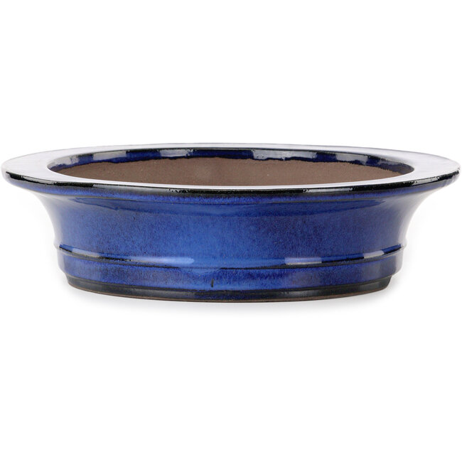 Pot ovale bleu pour bonsaï de Kakuzan - 704 x 435 x 45 mm