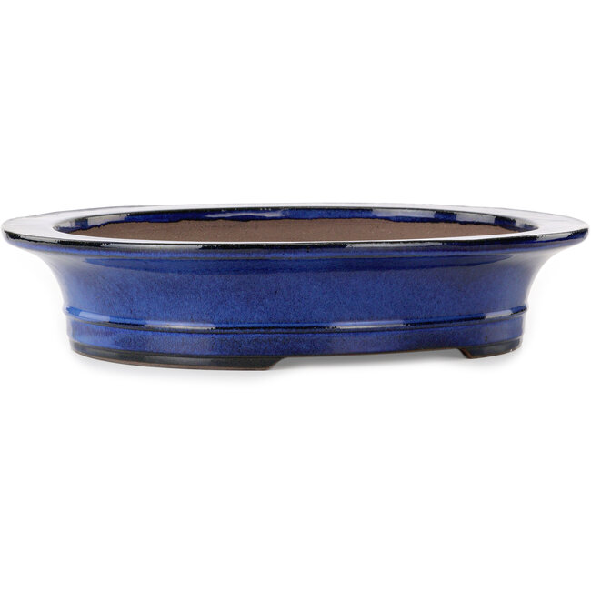 Maceta ovalada azul para bonsái de Kakuzan - 704 x 435 x 45 mm
