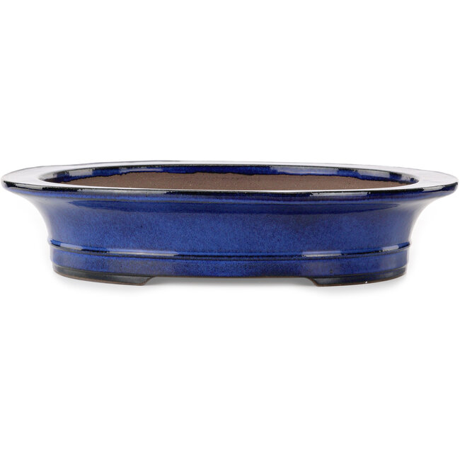 Pot ovale bleu pour bonsaï de Kakuzan - 704 x 435 x 45 mm