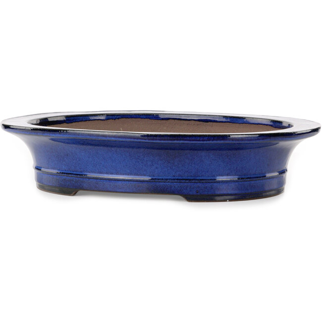 Ovale blauwe bonsaipot van Kakuzan - 704 x 435 x 45 mm