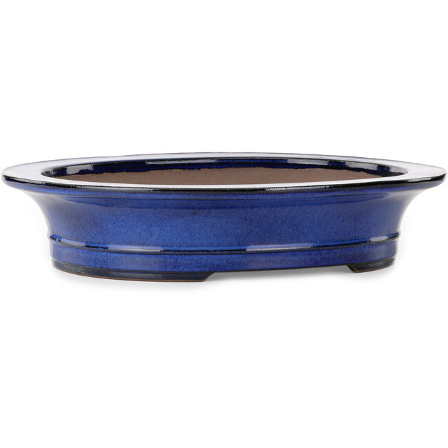 Maceta ovalada azul para bonsái de Kakuzan - 704 x 435 x 45 mm