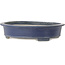 Oval blue bonsai pot by Terahata Satomi Mazan - 535 x 473 x 110 mm