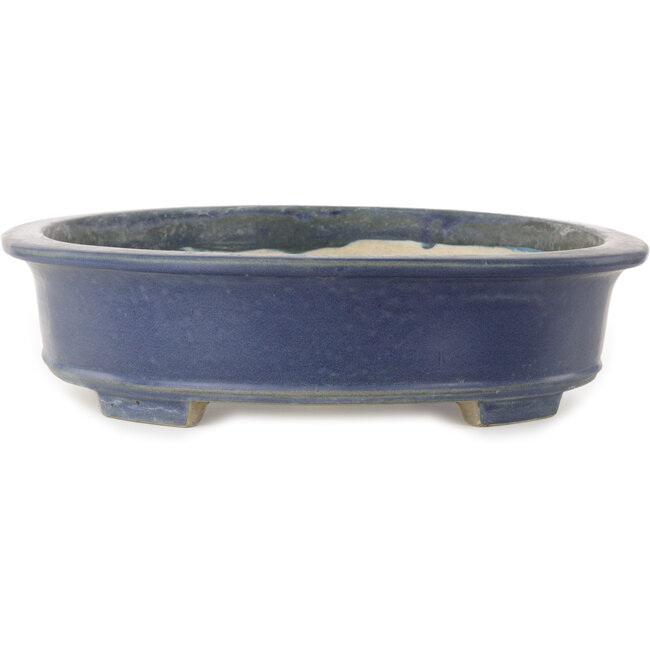 Ovaler blauer Bonsaitopf von Terahata Satomi Mazan – 535 x 473 x 110 mm
