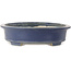 Ovaler blauer Bonsaitopf von Terahata Satomi Mazan – 535 x 473 x 110 mm