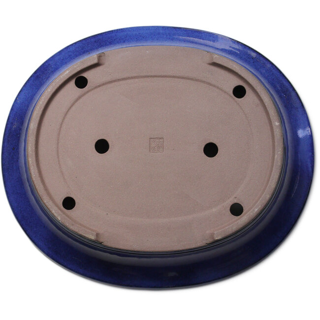 Ovale blauwe bonsaipot van Kakuzan - 704 x 435 x 45 mm