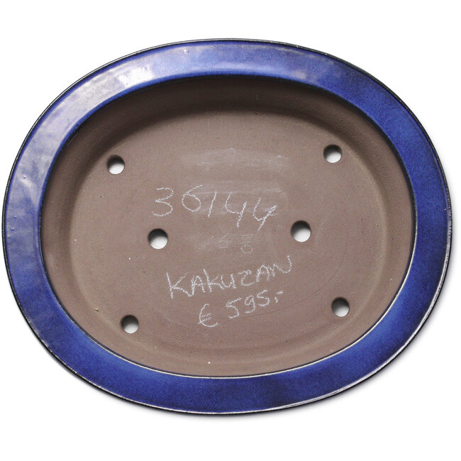 Ovale blauwe bonsaipot van Kakuzan - 704 x 435 x 45 mm