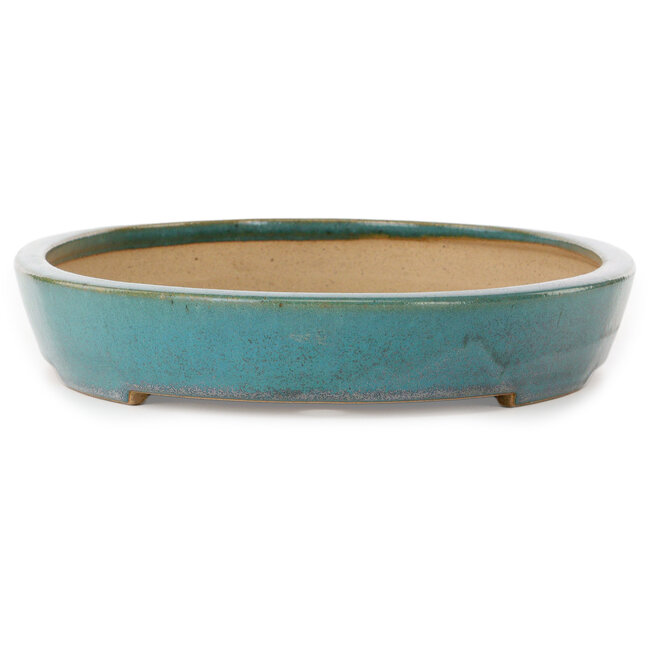 Ovale groene bonsaipot van Seizan (Reihou, Kataoka Katsushi, meester Seizan oven) - 465 x 300 x 55 mm